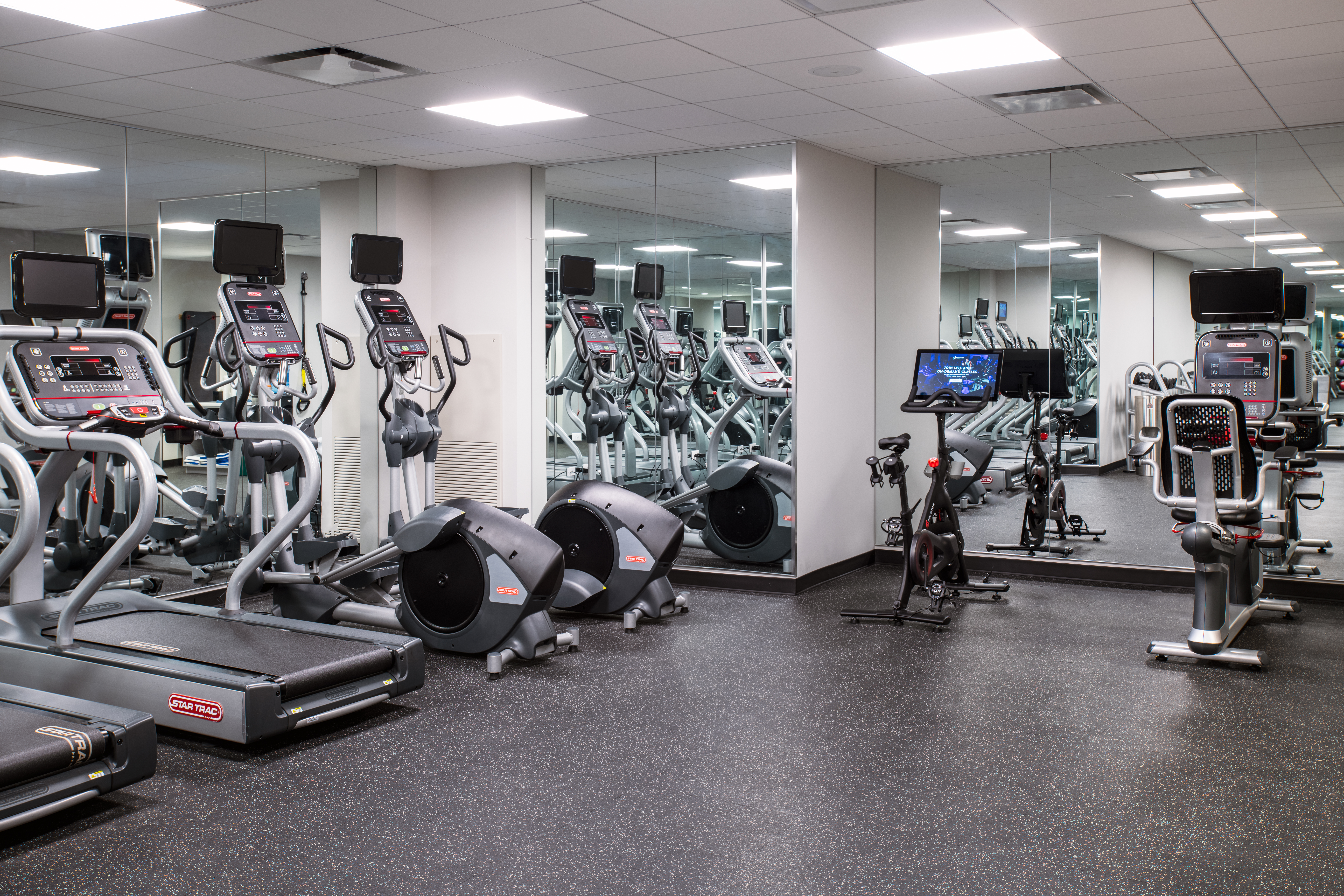 Arlo Chicago — photo 15 of 60