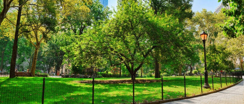 A sunlit park in Manhattan’s NoMad area featuring lush green trees, walking paths, and city skyscrapers rising above the gardens on a summer day.