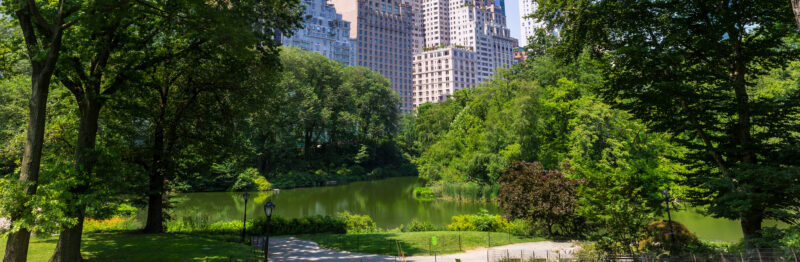 Central Park in Manhattan on a sunny summer day, featuring a scenic pond, lush green trees, and the New York City skyline viewed from near NoMad.