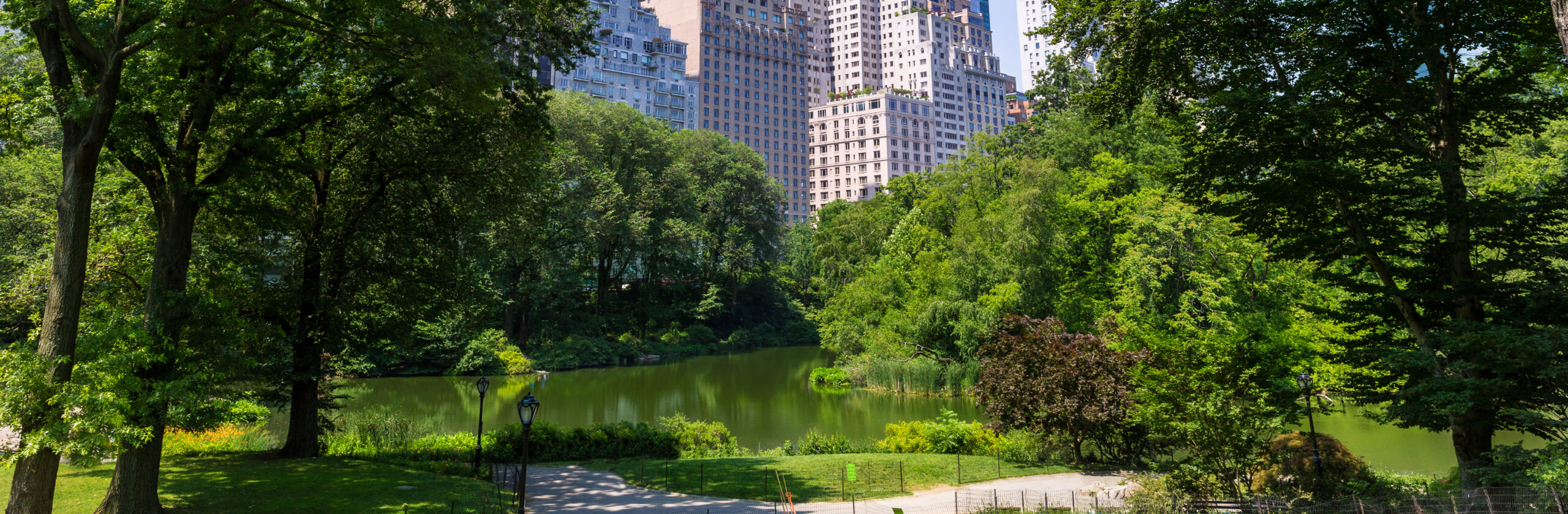 Central Park in Manhattan on a sunny summer day, featuring a scenic pond, lush green trees, and the New York City skyline viewed from near NoMad.