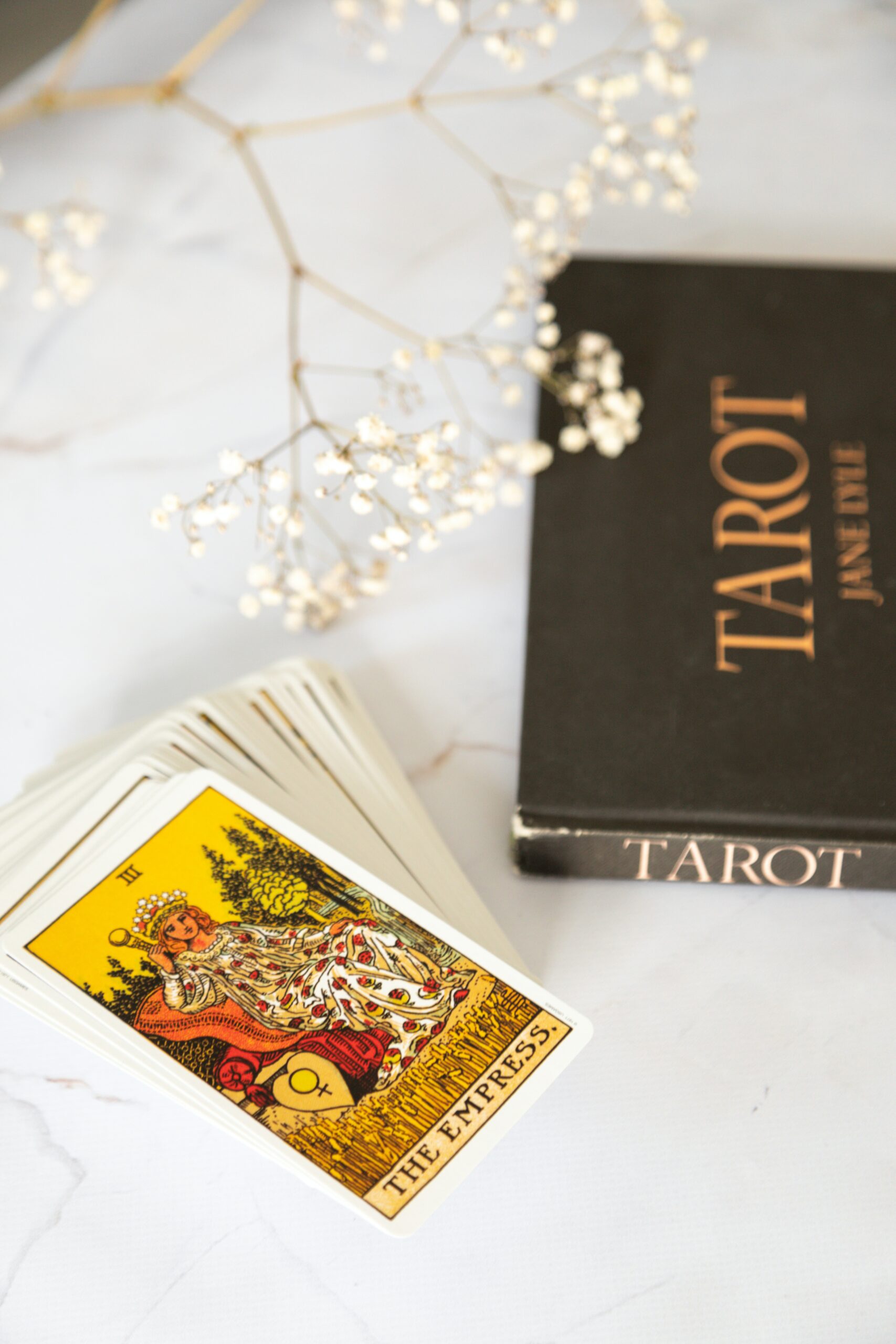 Arlo Cosmic Concierge Tarot Readings