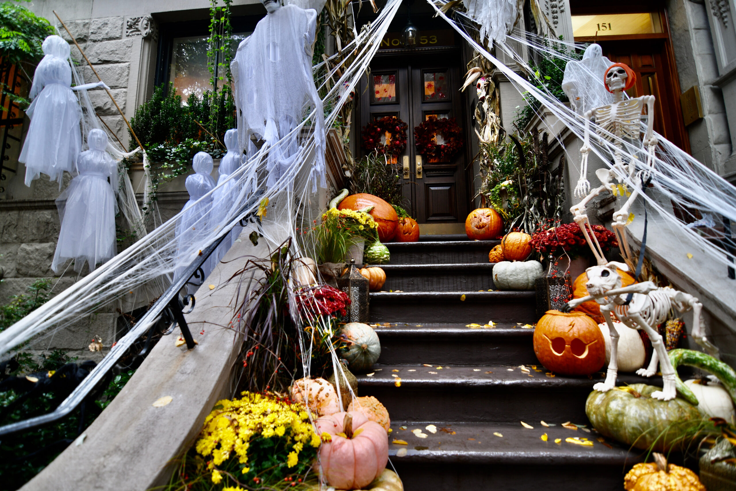 A brownstone stoop in NYC decorated for Halloween with white ghost figures, stretched spiderwebs, skeletons including a skeleton dog, carved jack-o’-lanterns, pumpkins, gourds, and fall mums lining the steps up to a wreath-hung front door.