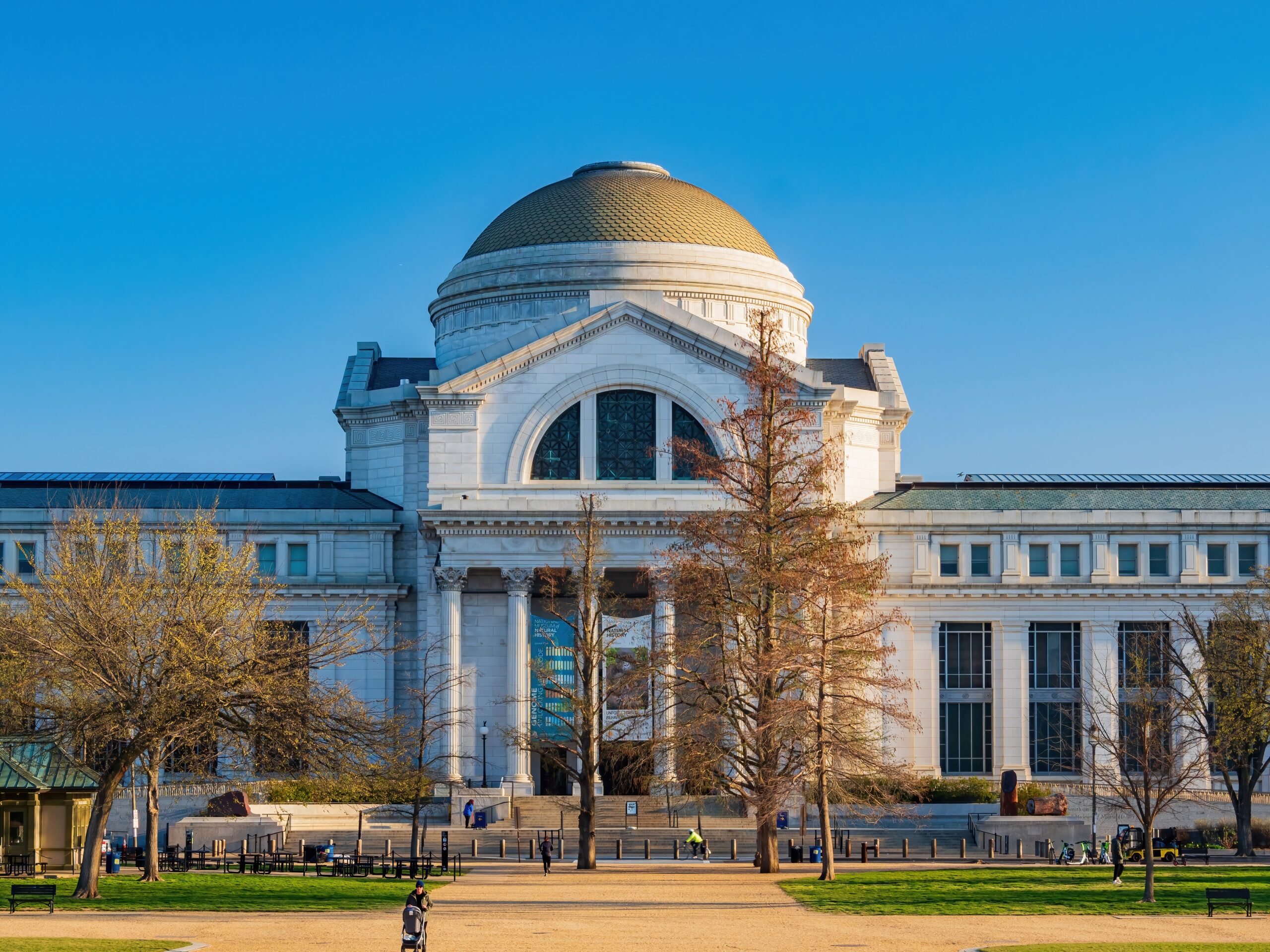 Smithsonian National Museum of American History on the National Mall in Washington, DC, featuring its grand neoclassical facade, domed roof, and landscaped grounds under a clear blue sky.