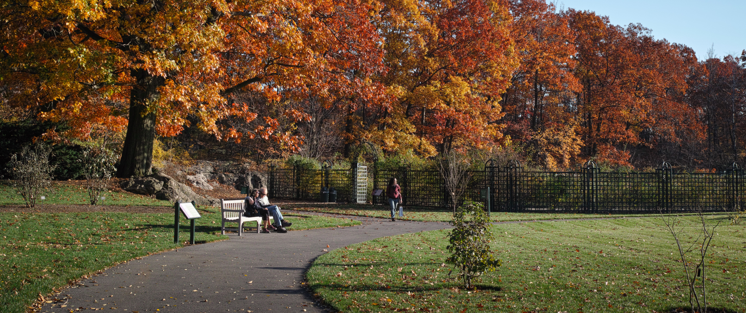 A couple sits on a bench along a paved garden path beneath a large tree in vivid orange and red fall foliage, with a woman walking nearby past wrought-iron fencing and a lawn scattered with fallen leaves.