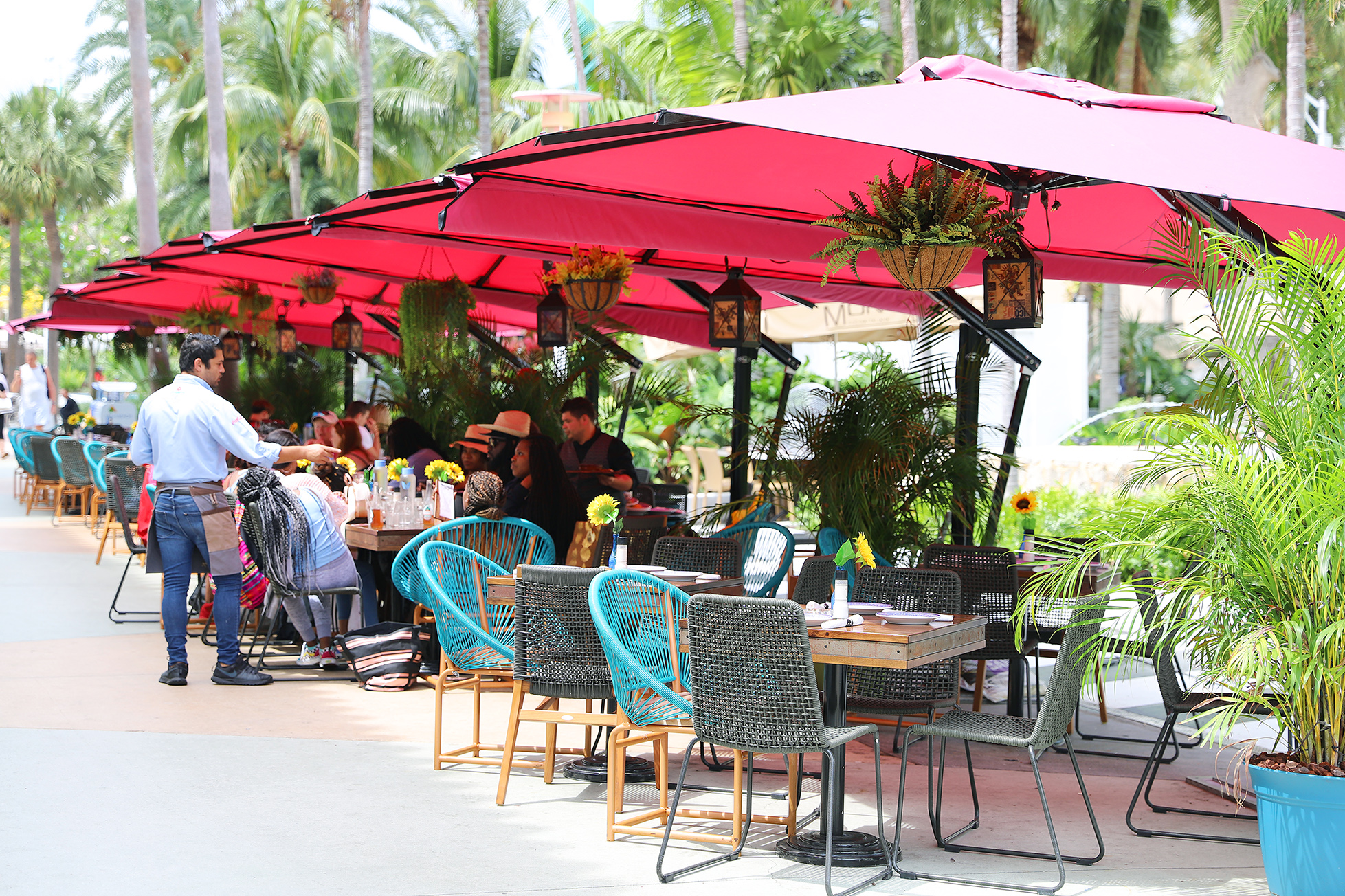 Learn more about Where to Eat on Lincoln Road, Miami Beach