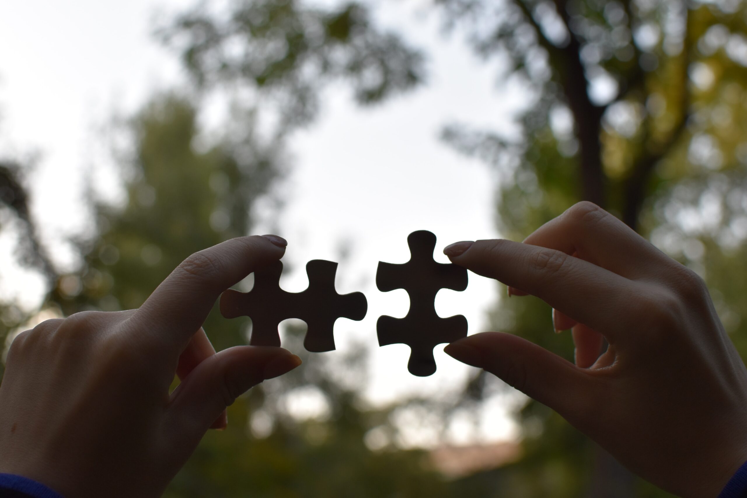 Female hands holding 2 pieces of the puzzle in the background of trees