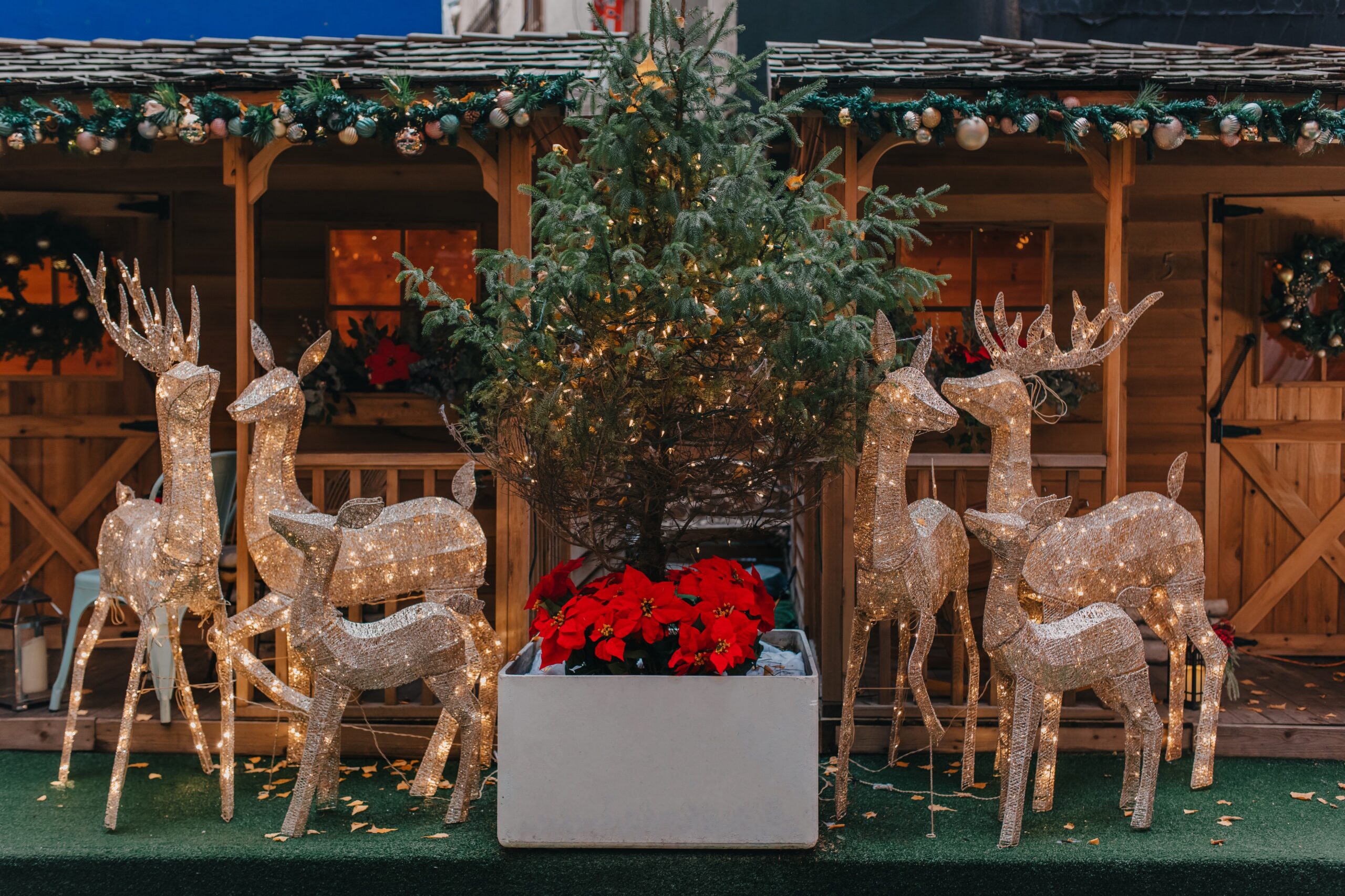 Learn more about Our Favorite Festive Photo Op Spots in NYC