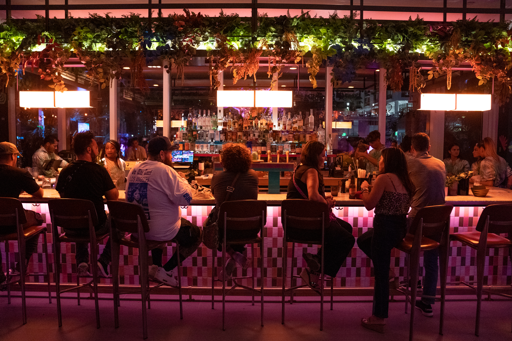 A group of people sit and stand around a bar counter in a dimly lit, vibrant setting adorned with hanging greenery and illuminated by soft lighting.
