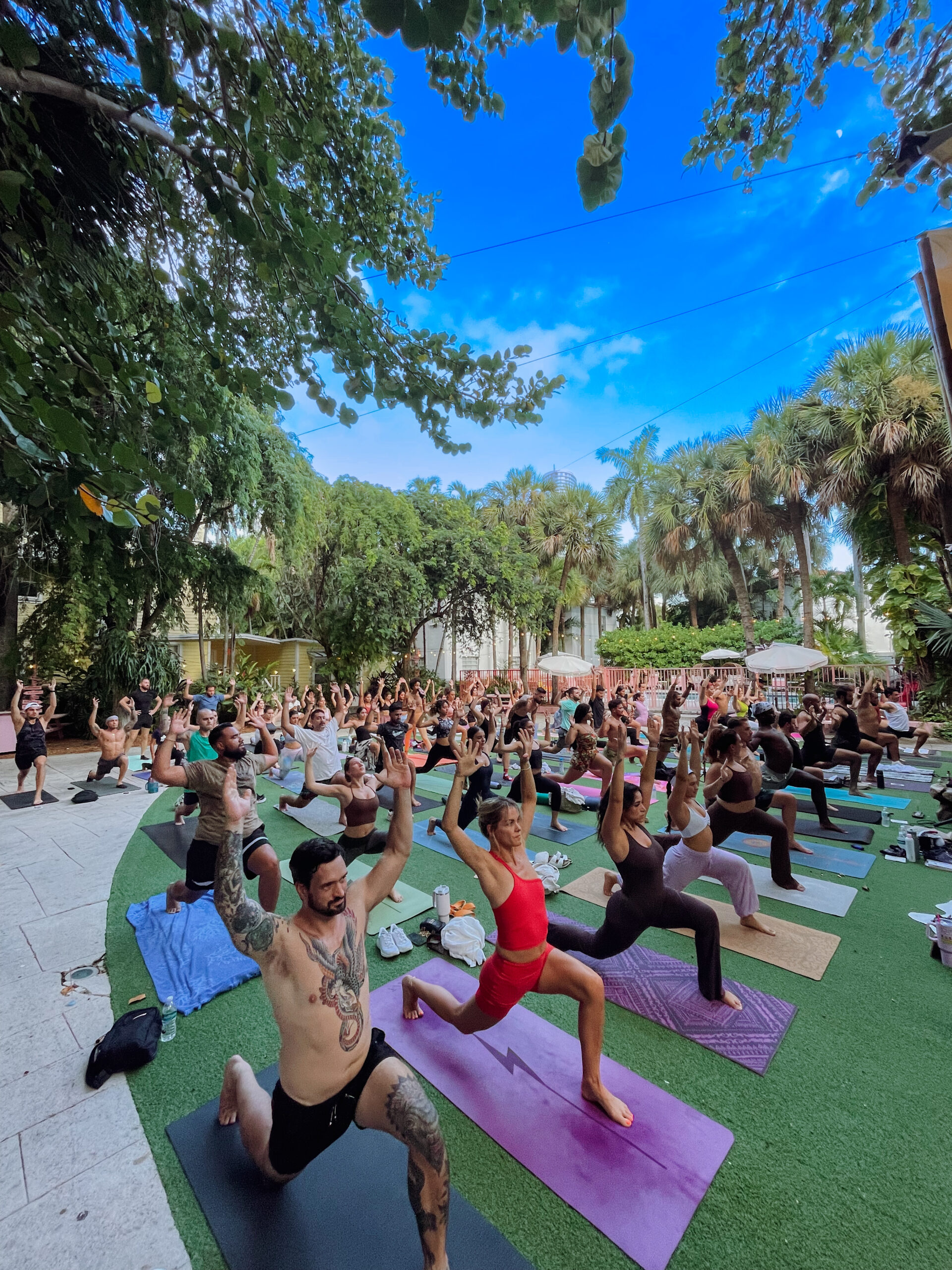 A large group of people practice yoga outdoors on mats, surrounded by lush greenery and a clear blue sky.