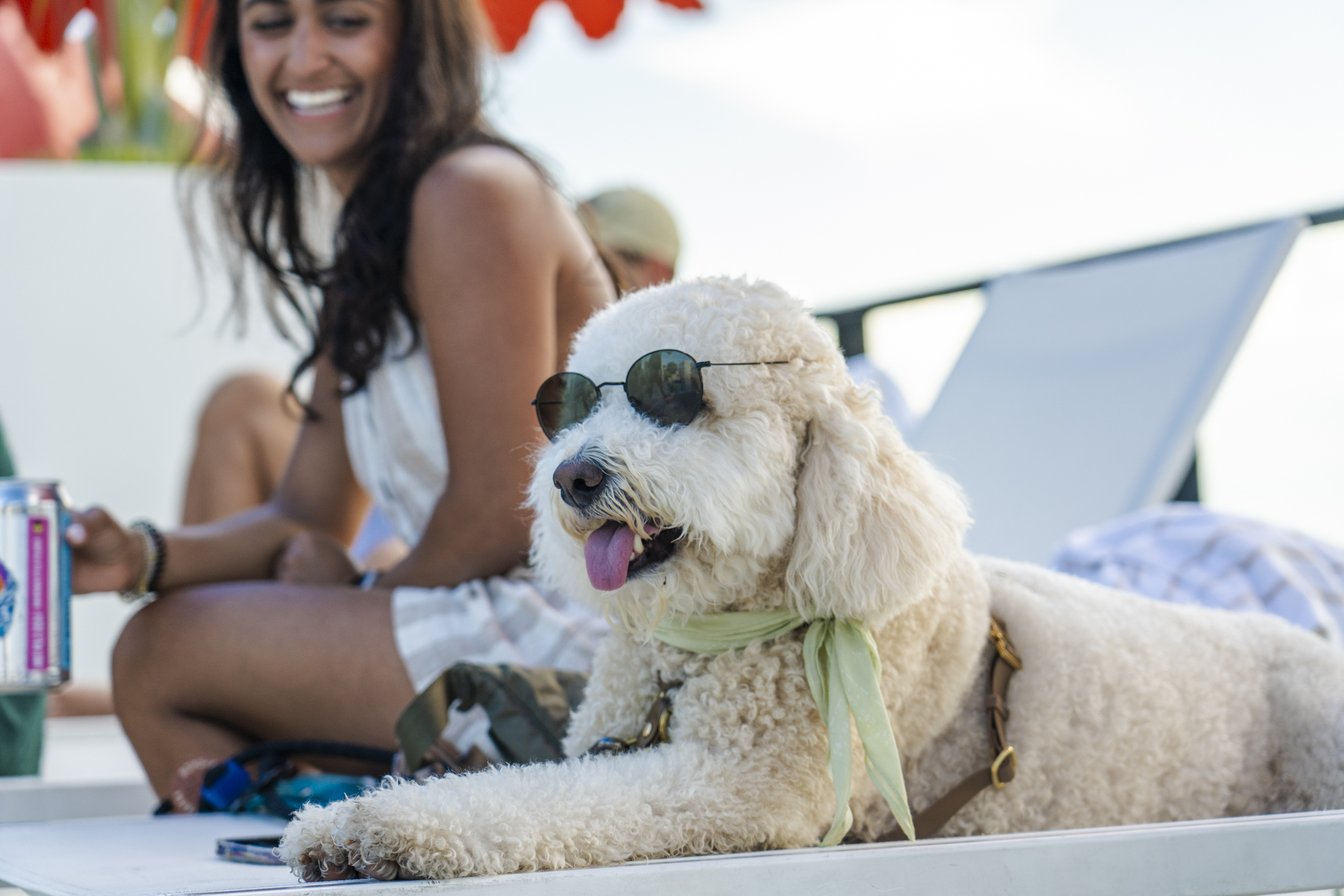 A curly-haired dog wearing sunglasses and a green scarf lies on a lounge chair, with a smiling woman sitting in the background holding a drink can.