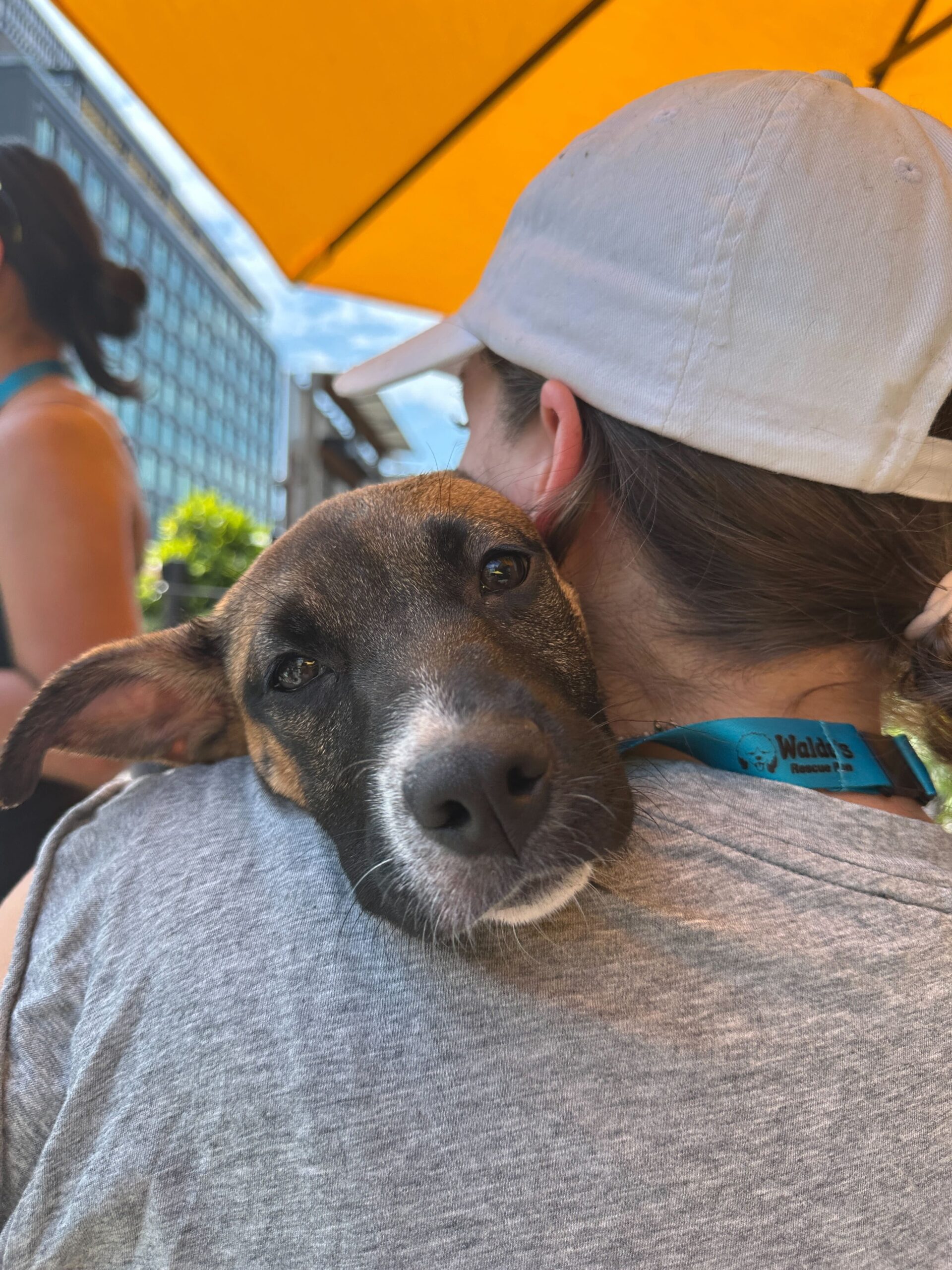 A dog rests its head on a person's shoulder, who is wearing a white cap and gray shirt, under a yellow umbrella outdoors.