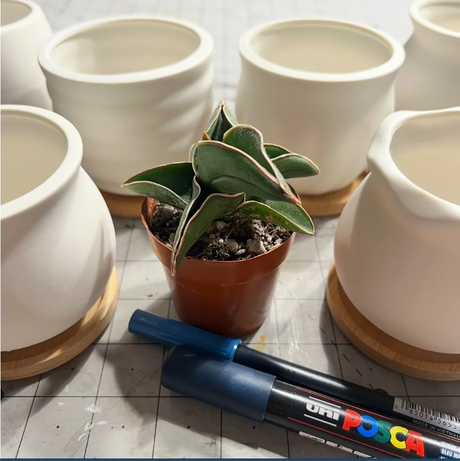 A small potted succulent sits in front of five empty white ceramic planters with wooden bases, alongside blue and black Posca markers on a grid-patterned surface.