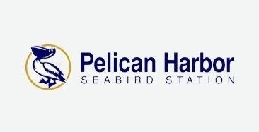 Logo for Pelican Harbor Seabird Station featuring a simple pelican illustration inside a gold circle, with the organization’s name in blue text.
